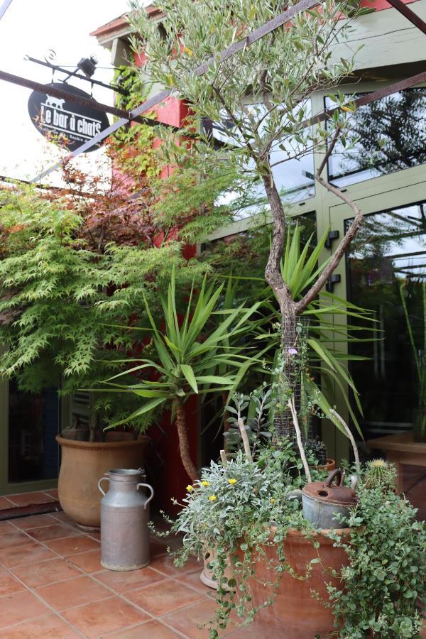 Grand Loft De Charme, Place Du Village A Thuir Exterior foto